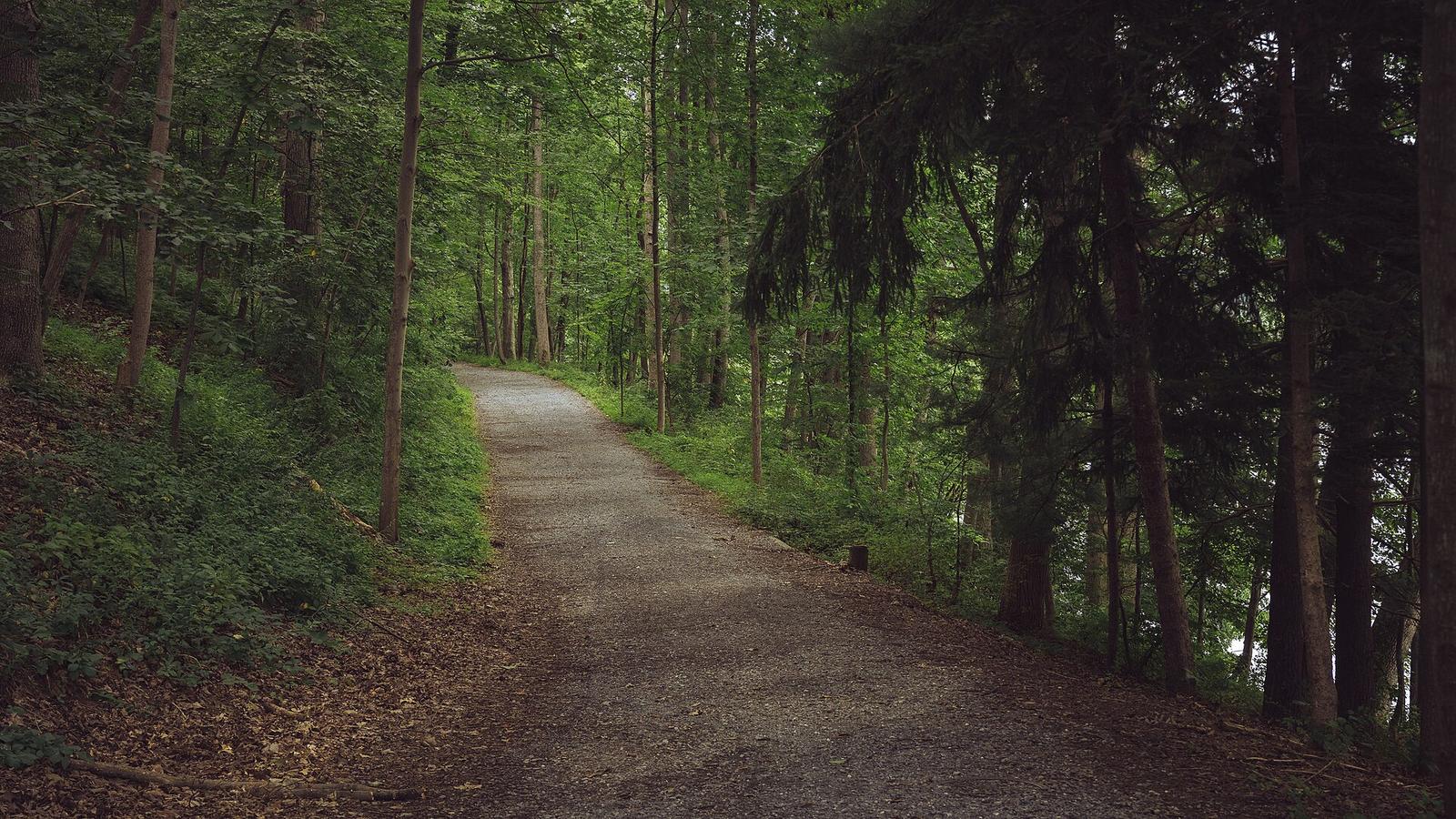 Atlanta's BeltLine Westside Trail Connects Dozens of Neighborhoods Uniquely